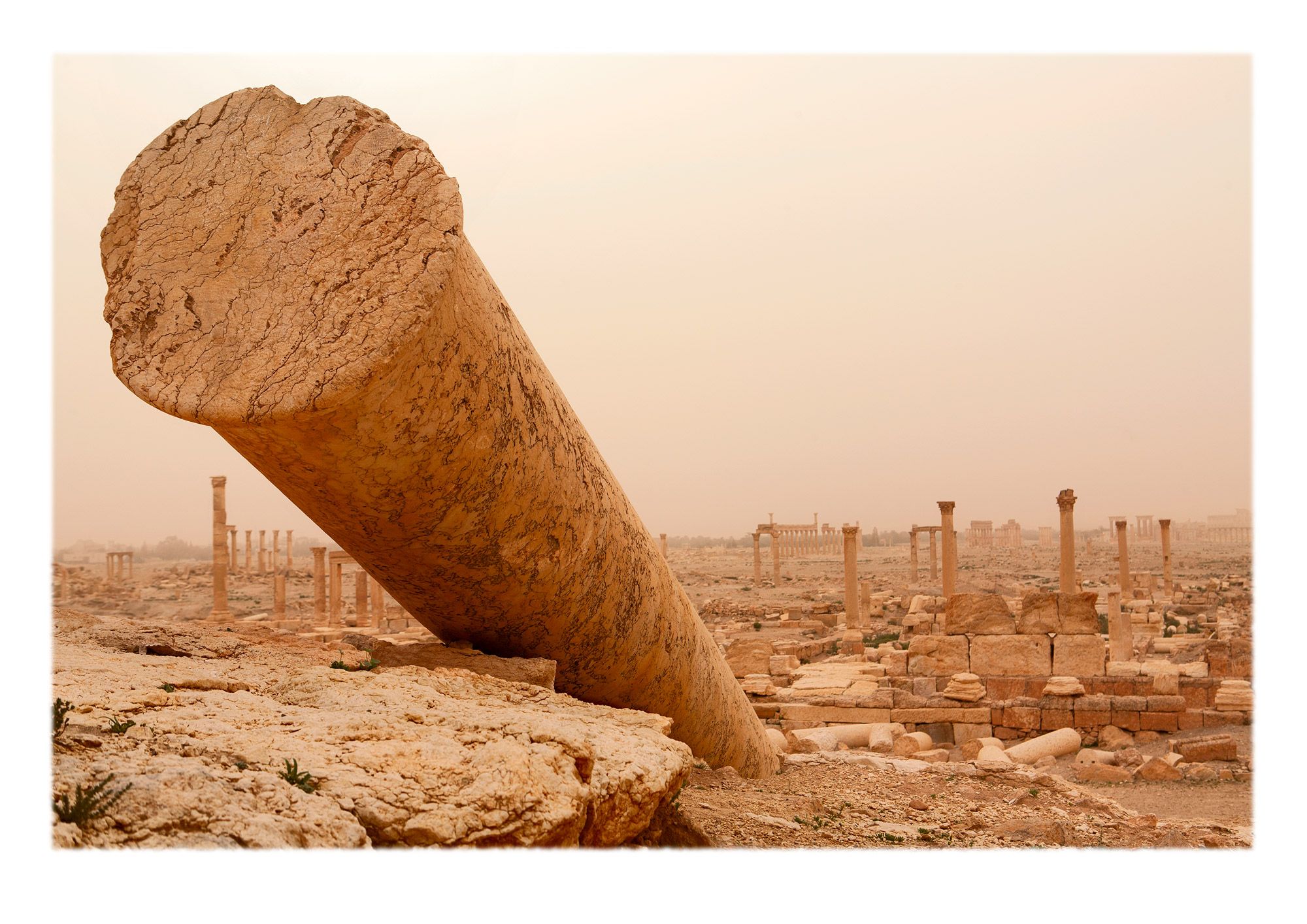 Morning view northeast from Diocletian's Camp, Palmyra.