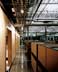 Corporate Offices of Pets.com, San Francisco. Geoff Butler Architects