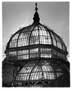 Conservatory Dome, with Sun behind