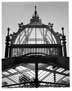 Conservatory: West Wing Skeletal Dome with Palms