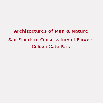 Architectures of Man & Nature Portfolio, San Francisco Conservatory of Flowers