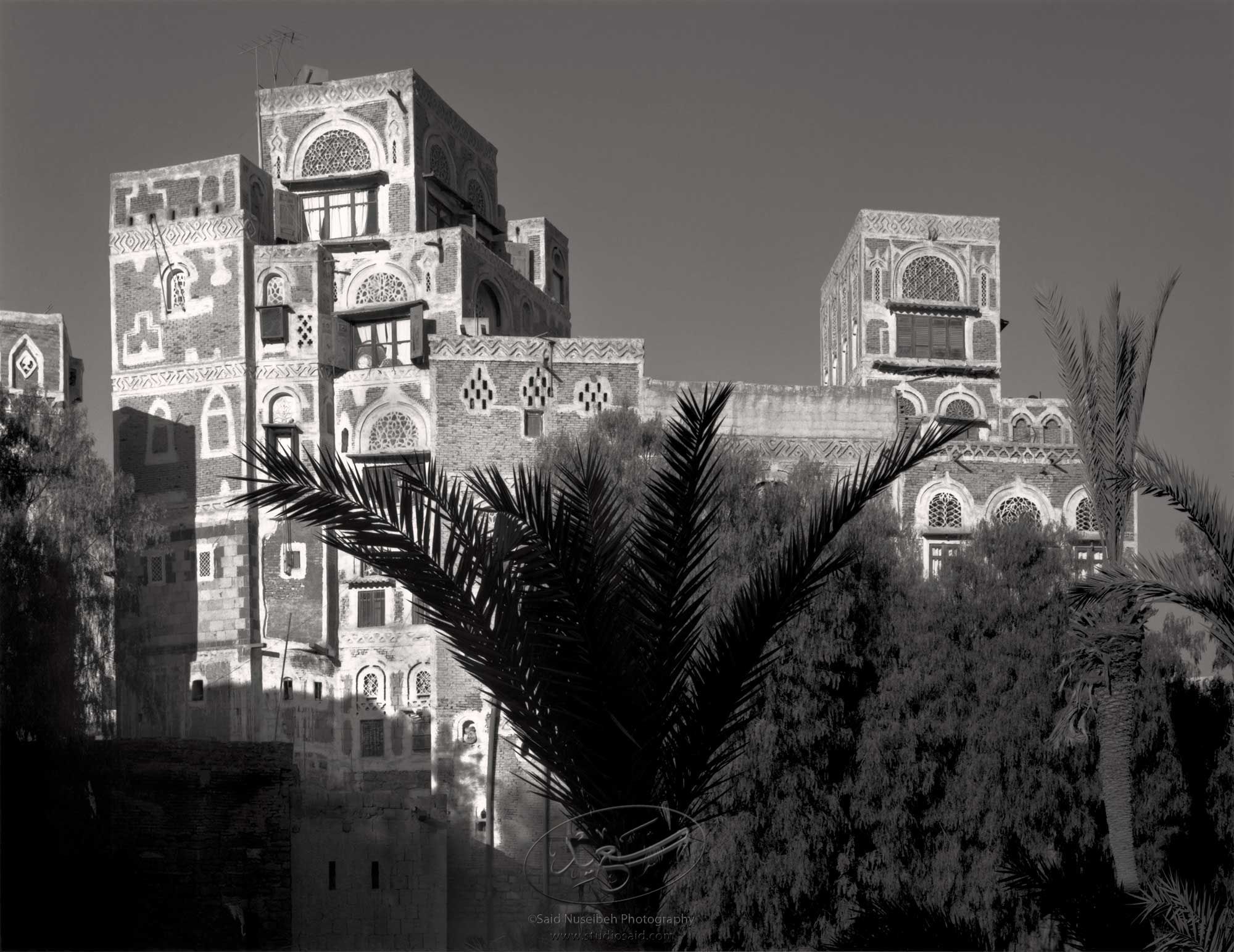 From shared community gardens, in the cnter of a circle of houses. Old City Sana'a