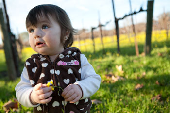 Kindah at one-year